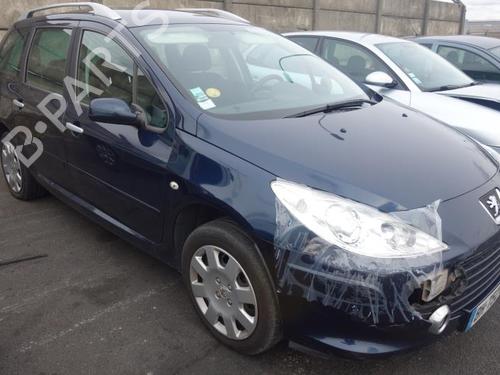 Tailgate PEUGEOT 307 SW (3H)  | BP20002641C6 