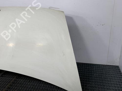 Hood FORD TRANSIT Van (FA_ _) 2.0 DI (FAE_, FAF_, FAG_) | BP21958348C1 