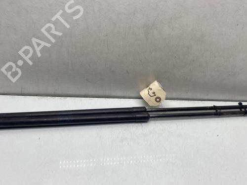 Used Tailgate lift support RENAULT KANGOO (KC0/1_) 1.5 dCi (KC07) (65 hp) 28705053