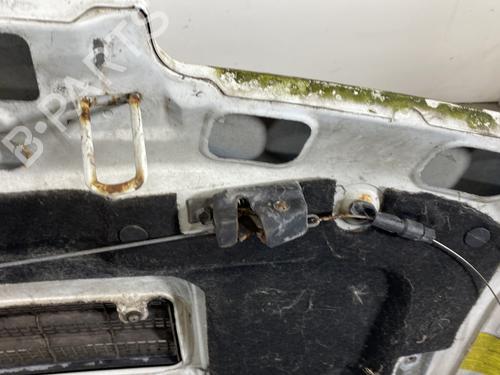 Hood RENAULT TRAFIC Van (T_, P_, V_) 2.1 D | BP22179991C1