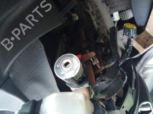 Pedal RENAULT MASTER III Van (FV) 2.3 dCi 125 FWD (FV0C, FV0D, FV0G, FV0H, FV0J, FV0K,... | BP26952896I4  - Image 13