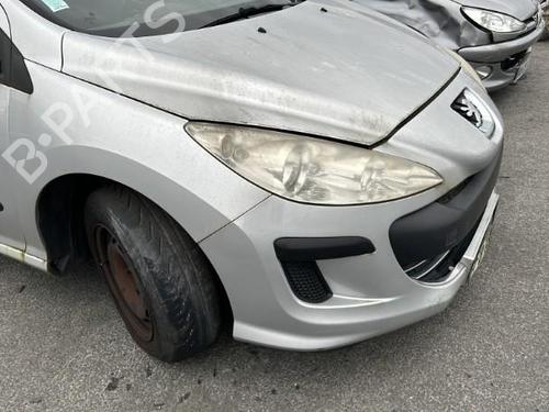 Hinge/Door check strap PEUGEOT 308 I (4A_, 4C_) 1.6 HDi | BP21490026C146 