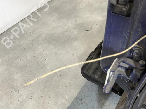 Left rear door DACIA LODGY (JS_) 1.6 LPG | BP29564754C4 