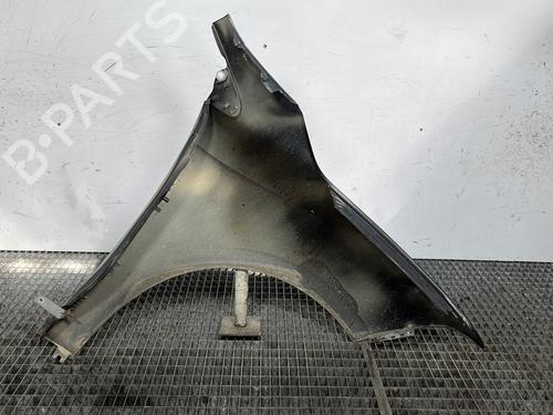 Left front fenders RENAULT FLUENCE (L3_) 1.5 dCi (L30B) | BP28493782C41 