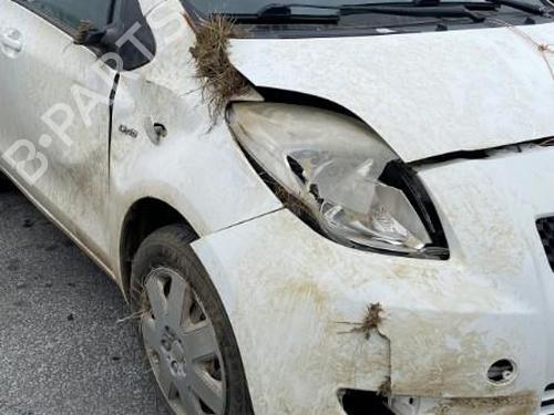 Squib airbag TOYOTA YARIS (_P9_) 1.4 D-4D (NLP90_, NLP90R) | BP19958925C102 