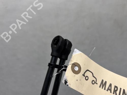 Tailgate lift support RENAULT CLIO V (B7_) 1.6 E-TECH 140 (B7MU) | BP29841524C138