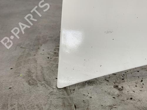 Hood FIAT DOBLO Box Body/MPV (223_) 1.3 D Multijet | BP19963927C1 