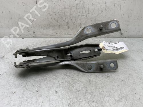 Hinge/Door check strap PEUGEOT 307 (3A/C) 1.6 HDi | BP19956945C146 