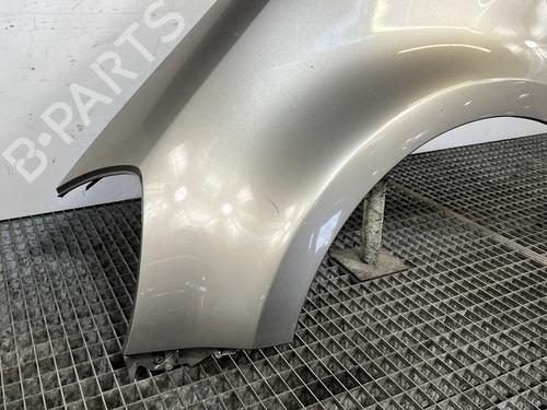 Left front fenders RENAULT CLIO III Grandtour (KR0/1_) 1.5 dCi (KR0G) | BP29269621C41 