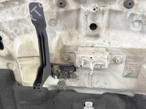 Hood RENAULT MEGANE III Coupe (DZ0/1_) 1.6 dCi (DZ00, DZ12, DZ2A, DZ13) | BP30720017C1