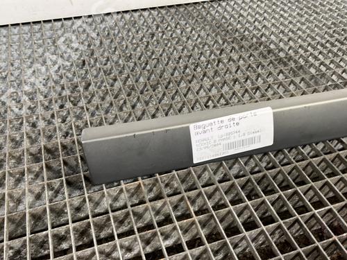 Door moulding trim RENAULT SCÉNIC II (JM0/1_) 1.9 dCi (JM0G, JM12, JM1G, JM2C) | BP30181132C150