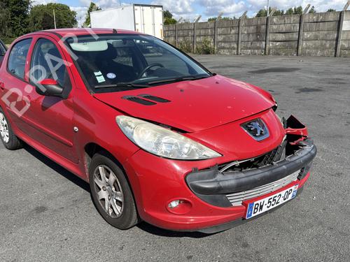 Left front door PEUGEOT 206+ (2L_, 2M_) 1.4 i | BP29999542C2