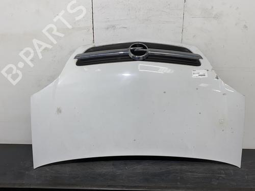 Used Hood OPEL MERIVA A MPV (X03) 1.7 CDTI (E75) (100 hp) 20000564