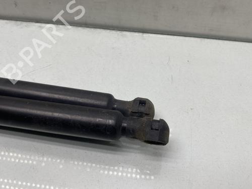 Tailgate lift support DACIA SANDERO II 1.0 SCe 75 (B8JC, B8JD, B8NC) | BP28280219C138 