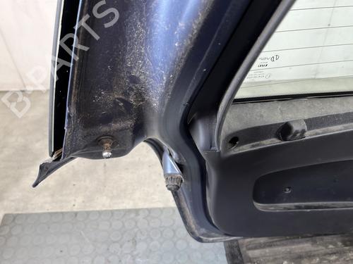 Tailgate RENAULT CLIO III (BR0/1, CR0/1) 1.5 dCi (BR17, CR17) | BP28475732C6