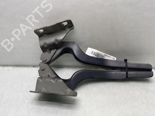 Hinge/Door check strap NISSAN QASHQAI / QASHQAI +2 I (J10, NJ10, JJ10E) 1.6 dCi | BP23765917C146 