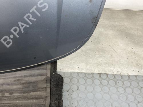 Hood SMART FORFOUR (454) 1.5 CDI (454.000) | BP24539489C1
