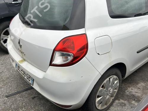 Right front door RENAULT CLIO III (BR0/1, CR0/1) 1.5 dCi (C/BR0G, C/BR1G) | BP21960549C3 