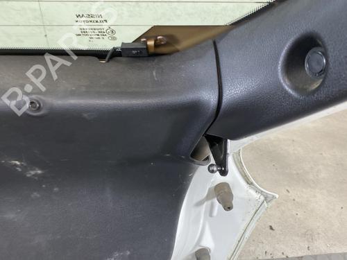Tailgate NISSAN JUKE (F15) 1.6 | BP24619306C6 