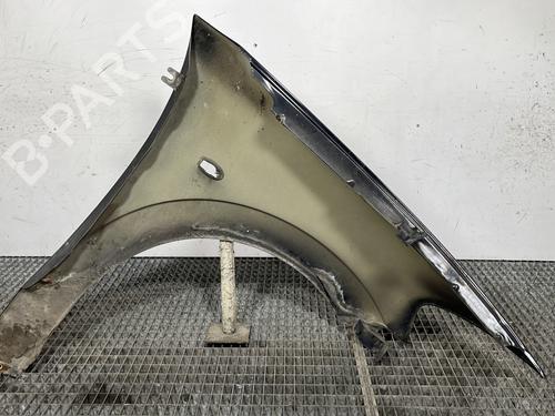 Left front fenders CITROËN C3 I (FC_, FN_) 1.4 HDi | BP28281348C41 