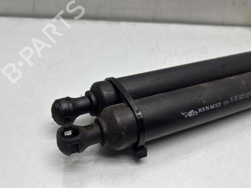 Tailgate lift support RENAULT VEL SATIS (BJ0_) 2.2 dCi (BJ0E, BJ0F, BJ0G, BJ0H) | BP29841676C138