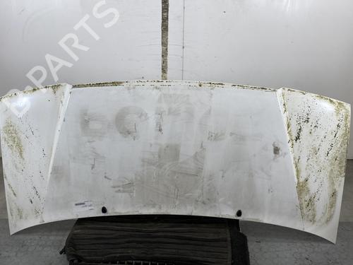 Used Hood Hood CITROËN JUMPY I Van (BS_, BT_, BY_, BZ_) 2.0 HDi 110 (109 hp) 21373050 21373050