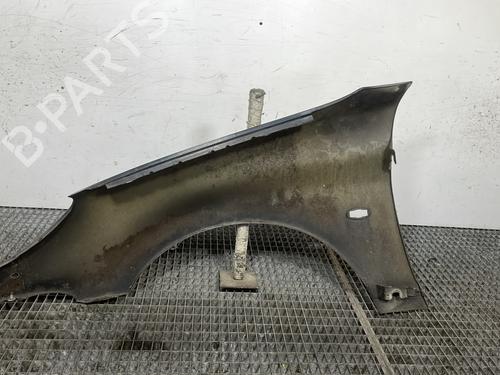 Błotnik przedni prawy PEUGEOT 206 CC (2D) 1.6 16V (2DNFUF, 2DNFUR) | BP29178344C42