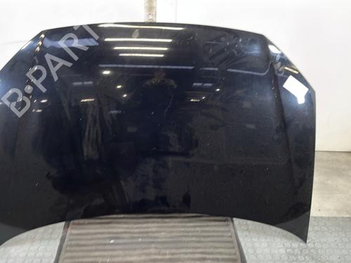 Used Hood VW POLO IV (9N_, 9A_) 1.4 TDI (70 hp) 30198943
