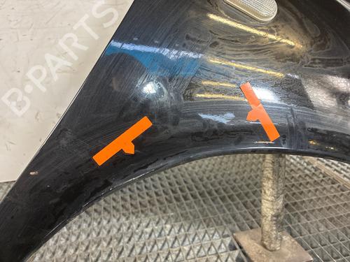 Guarda-lamas esquerdo Guarda-lamas esquerdo NISSAN MICRA III (K12) 1.2 16V (80 hp) 36008180 36008180