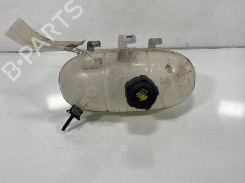 Used Expansion tank RENAULT TRAFIC III Van (FG_) 1.6 dCi 95 (FGMJ, FGMR) (95 hp) 22520533