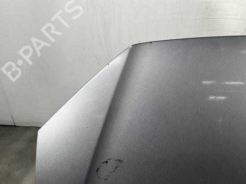 Hood VW POLO IV (9N_, 9A_) 1.4 TDI | BP28281437C1 