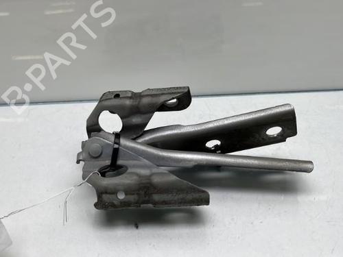 Hinge/Door check strap AUDI A3 (8P1) 1.6 TDI | BP19988778C146 