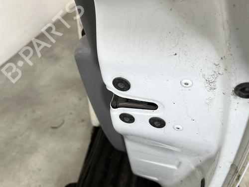 Right front door RENAULT CLIO III (BR0/1, CR0/1) 1.5 dCi (BR17, CR17) | BP29481890C3 
