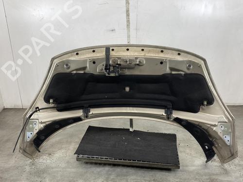 Hood RENAULT SCÉNIC III (JZ0/1_) 1.9 dCi (JZ0J, JZ1J, JZ1K, JZ1S) | BP21959620C1