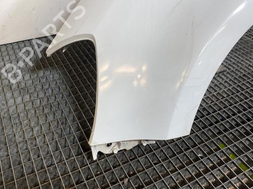 Left front fenders RENAULT CLIO III (BR0/1, CR0/1) 1.5 dCi | BP21820362C41 