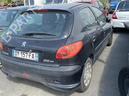 Right front door PEUGEOT 206 Hatchback (2A/C)  | BP19956771C3 