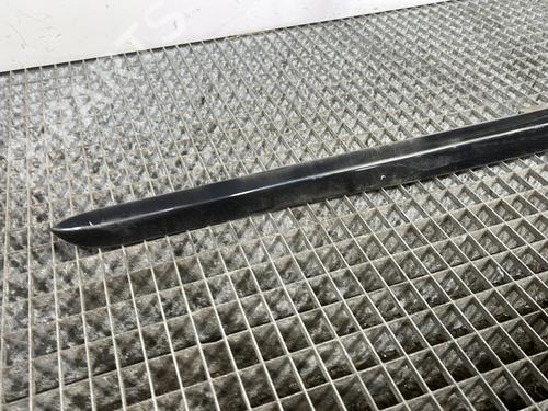 Door moulding trim PEUGEOT 407 Coupe (6C_) 2.7 HDi | BP29413697C150 