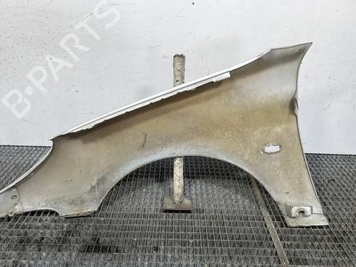 Right front fenders PEUGEOT 206 Hatchback (2A/C) 1.4 HDi eco 70 | BP28184908C42 