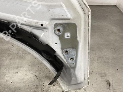 Hood RENAULT SCÉNIC III (JZ0/1_) 1.9 dCi (JZ0J, JZ1J, JZ1K, JZ1S) | BP19954873C1