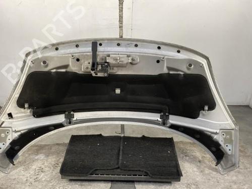 Hood RENAULT SCÉNIC III (JZ0/1_) 1.5 dCi | BP19952562C1 