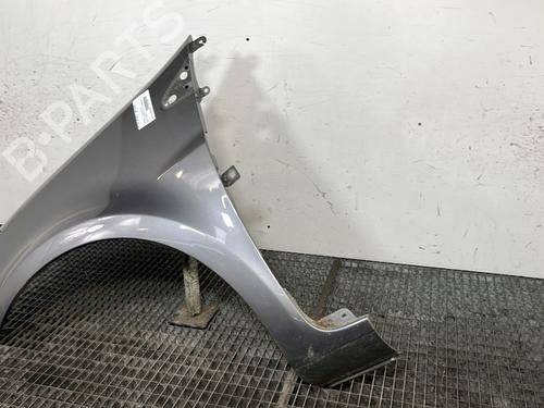 Left front fenders RENAULT CLIO III (BR0/1, CR0/1) 1.2 16V Hi-Flex (BR1U, CR1U) | BP29933225C41