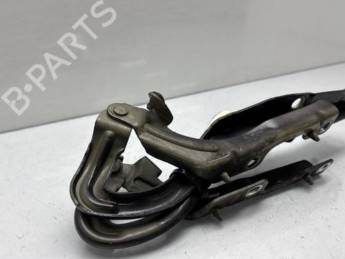 Used Hinge/Door check strap Hinge/Door check strap PEUGEOT 207 (WA_, WC_) 1.4 BiFuel (73 hp) 31915413 31915413