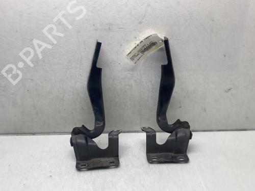 Used Hinge/Door check strap RENAULT KOLEOS I (HY_) 2.0 dCi 4x4 (HY0K) (150 hp) 19949575