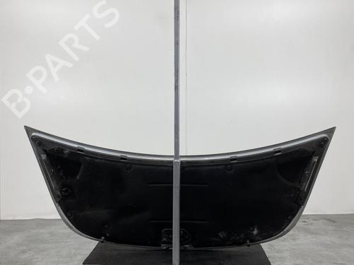 Hood SMART FORFOUR (454) 1.1 (454.030) | BP19997894C1