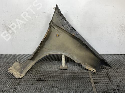 Left front fenders FIAT PUNTO (188_) 1.3 JTD 16V | BP25715663C41 