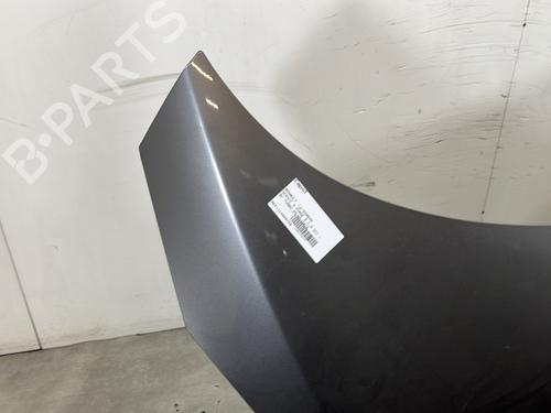 Hood RENAULT SCÉNIC III (JZ0/1_) 1.5 dCi | BP30389324C1 