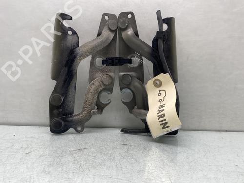 Hinge/Door check strap FORD FIESTA VI (CB1, CCN) 1.6 TDCi | BP29841788C146