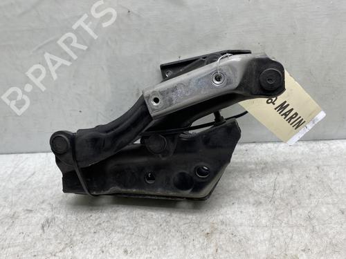Hinge/Door check strap MERCEDES-BENZ B-CLASS Sports Tourer (W245) B 180 CDI (245.207) | BP19972775C146