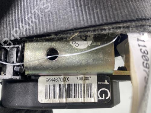 Front left belt tensioner PEUGEOT 1007 (KM_) 1.6 16V | BP29855639C87