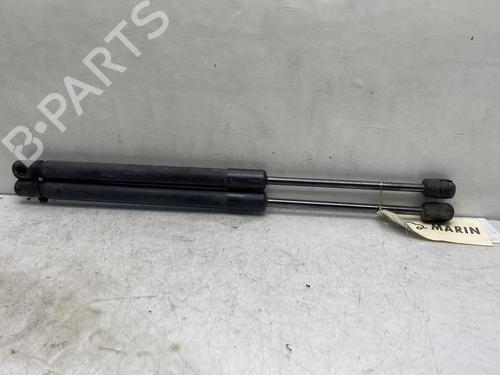 Tailgate lift support DACIA DUSTER (HS_) 1.5 dCi (HSAJ) | BP19963172C138 